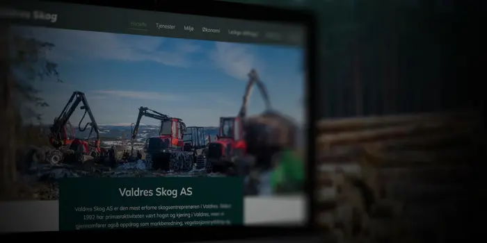 valdres-skog-as-referanse-valis.jpg