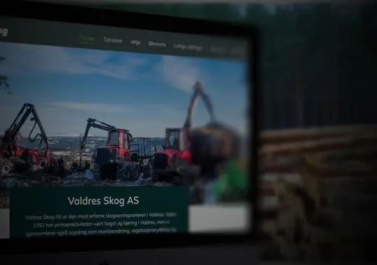valdres-skog-as-referanse-valis.jpg