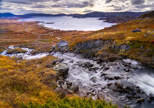 Naturbilde fra området rundt Beitostølen