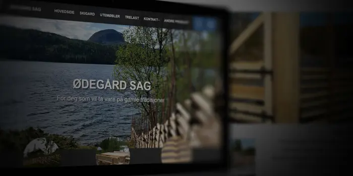 odegaard-sag-referanse-valis.jpg
